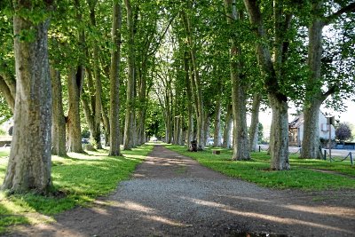 Promenade des Halles