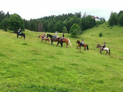 Centre Équestre Les Seignes