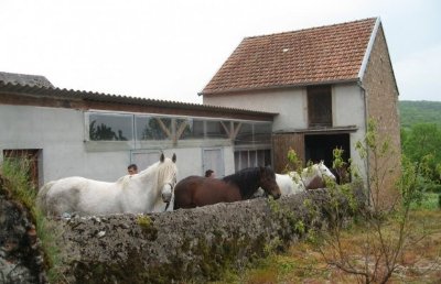 Centre de Tourisme Equestre "Tout Crin"