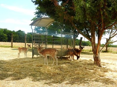 Ferme pédagogique du grand colonge