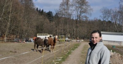 Domaine des 7 lieues - ecole d'attelage