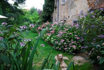 Jardins - Association les Amis du jardin et de la collection végétale "Annabelle"