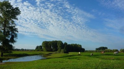 Église de Longepierre