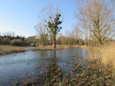 Marais de la vallée de la Druyes