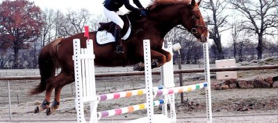 Centre équestre et Poney-club Les Varennes
