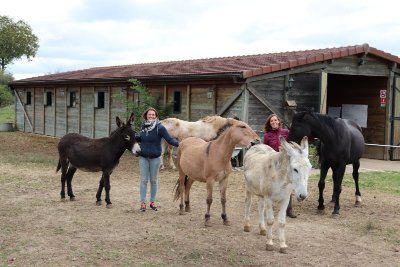 La ferme de Barnabée, médiation équine
