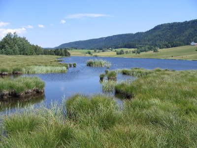 Tourbières Chapelle-des-Bois