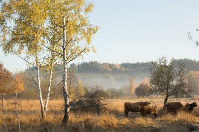 Sentier des prairies de Montour