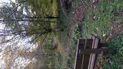 Arboretum du Lison à Nans-sous-Sainte-Anne