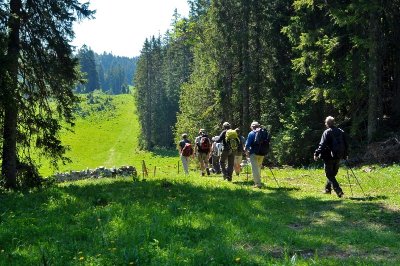 La Forêt du Massacre