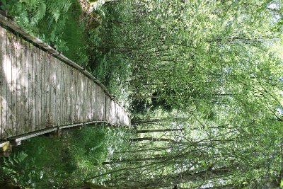 Tourbière de Champgazon