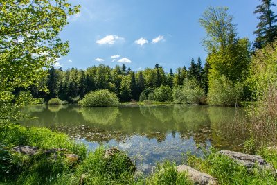 Étang des Perchettes