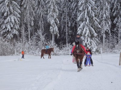 Ferme équestre de la Pelaisse