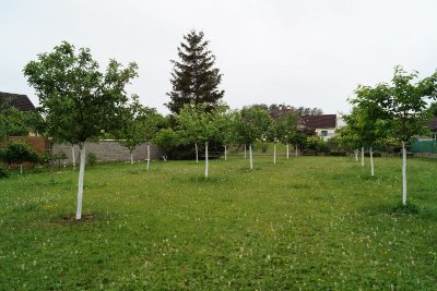 Verger Conservatoire