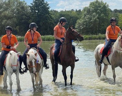 Centre équestre La Combeauté