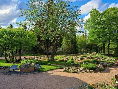 Jardin d'altitude du Haut Chitelet