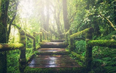 Audrey, Au delà des mondes