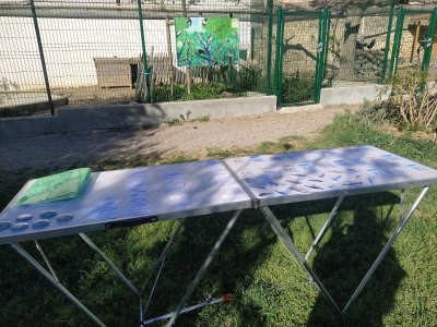 BOUCLE CYCLO N°23 BIS ÉTÉ- DU LITTORAL VALRASSIEN AU CANAL DU MIDI