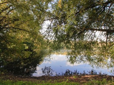 Parc archéologique européen de Bliesbruck-reinheim