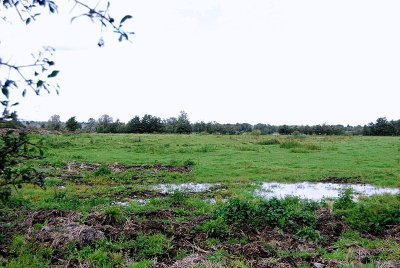 La motte féodale et la ferme de la basse-cour