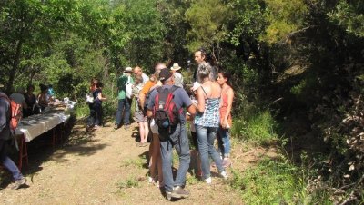 OENORANDO® LE MAS BLANC