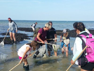 Les Papo'thé à la médiathèque