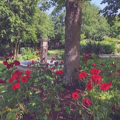 Potager de la Chesnaie