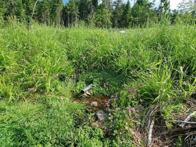 La source de Saint-Jacques