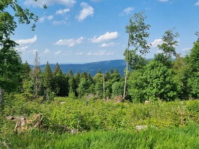 La chaume Saint-Jacques