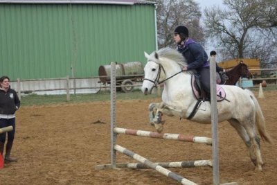 Centre équestre Les Poneys d'Aria
