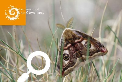 CINÉCO : MUGANGA, CELUI QUI SOIGNE