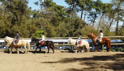 Centre Équestre de l'Estuaire