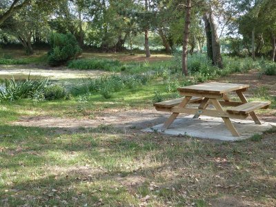 La Mare de la commune