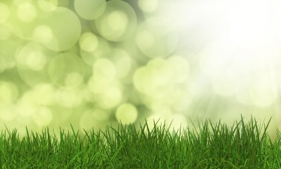 Tourbière de Quenouille