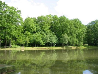Forêt domaniale de Pompadour