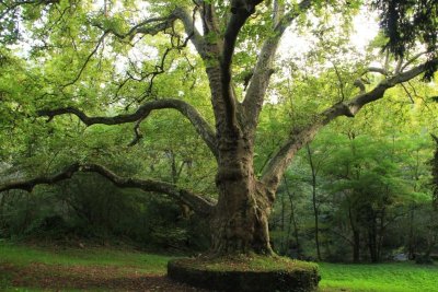 Site de Peyrassoulat