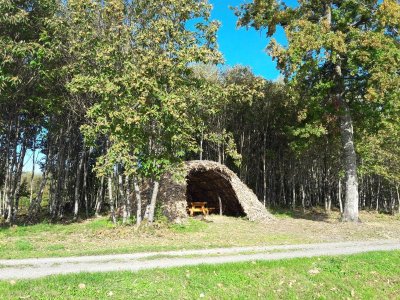 Étang de Masselièvre