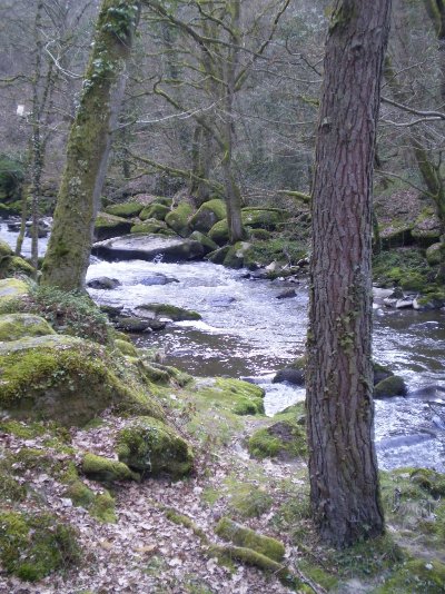 Bords de la Sédelle