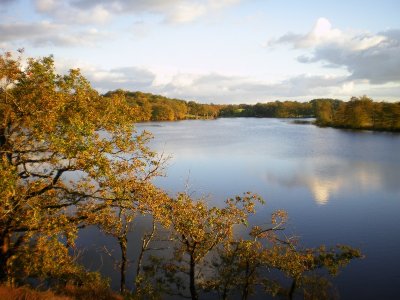 L'étang de Murat, observatoire ornithologique