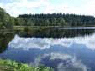 Tourbière de la route élevée