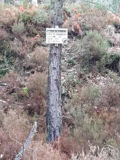 Circuit pédestre - Roche Saint-Martin