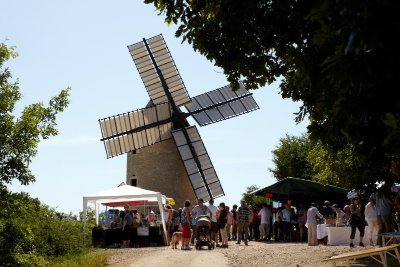 SUR LES PAS DU VIGNERON - VISITE FACILE DES VIGNES DE SANTENAY