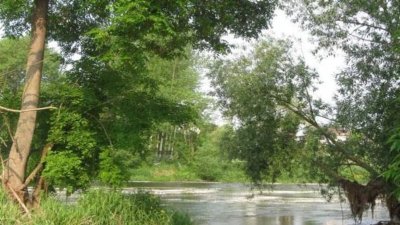 L'île Sainte Catherine