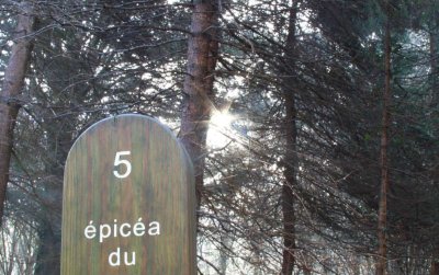 Arboretum de Châtellerault