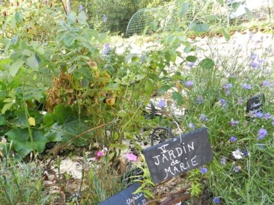 Jardin Médiéval de Jonzac