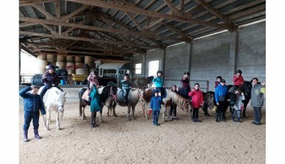 Domaine équestre de la Maurinière