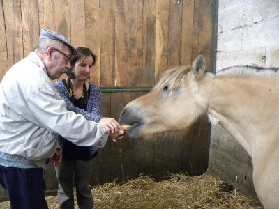 Centre Equestre de Boisrond