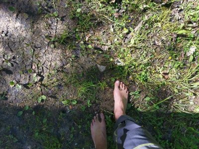 Circuit vélo du Sundgau n°8 - Autour du Glaserberg.