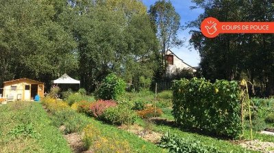 Arts et Vie en Couleurs - Les 36z'arts