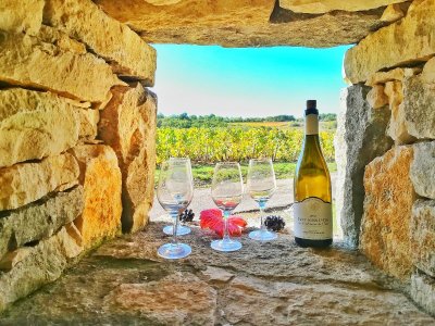 Location Vélo : Bourgogne Evasion by Active Tours